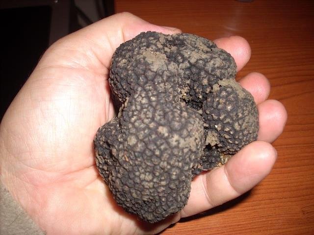 170 grammi 1